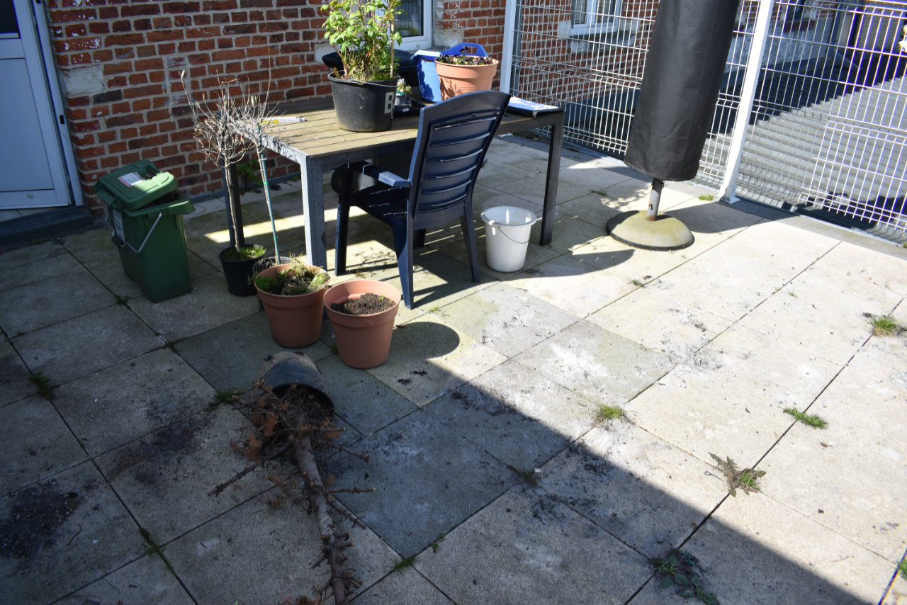 afbeelding dakterras